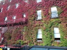 Dublin